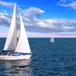 Sailboats in Mission Bay Park