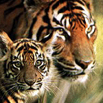 Location in San Diego