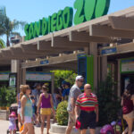 san diego zoo