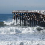 crystal pier boardwalk san diego attractions