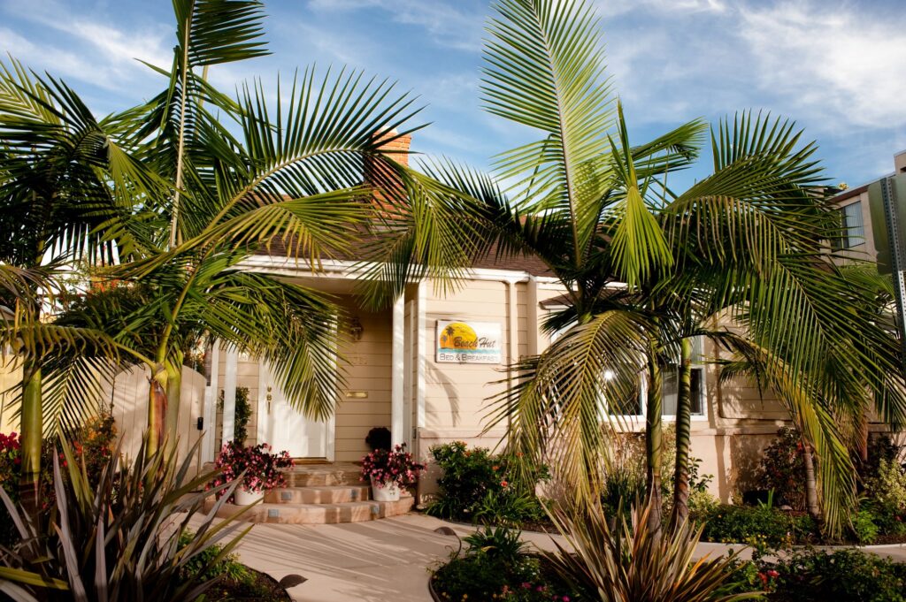 Front with Palm Trees