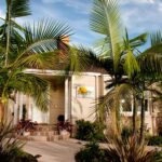 Front with Palm Trees